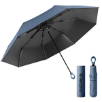 the blue umbrella