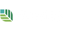 Venzina