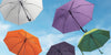 Best Umbrella Brands for 2025: Features & Prices Buying Guide