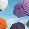 Best Umbrella Brands for 2025: Features & Prices Buying Guide