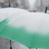 Which Is Better: A 2-Fold or 3-Fold Umbrella in 2025?